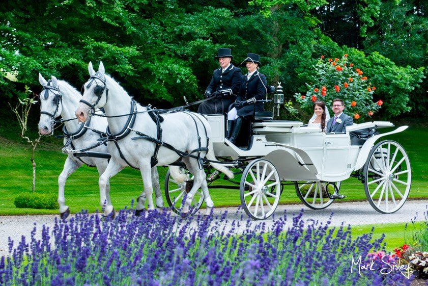 Bride and groom in carriage with white horses and lavender foreground - Wedding at Clearwell Castle - Mark Sisley Photography