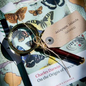 Close-up photography Buckinghamshire photo shoot