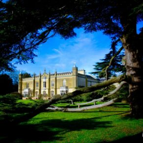 Buckinghamshire commercial photography - marketing images to wow your clients - Missenden Abbey captured through the cedar tree