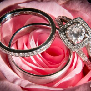 dramatically lit close-up image of pink rose with wedding rings by Mark Sisley Photography