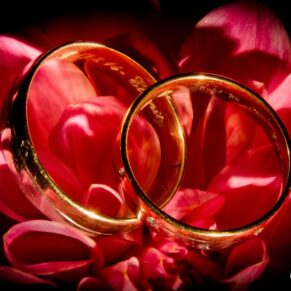 Buckinghamshire detail wedding photography - rings on red petals