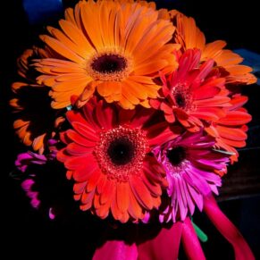 Detail of bright gerbera wedding flowers at Stoke Place wedding