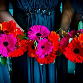 Detail of bridesmaids gerbera bouquets at Stoke Place wedding