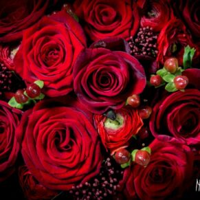 Red roses in bridal bouquet at Taplow House Hotel wedding