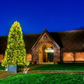 Christmas tree in courtyard at The Dairy Waddesdon Manor winter wedding