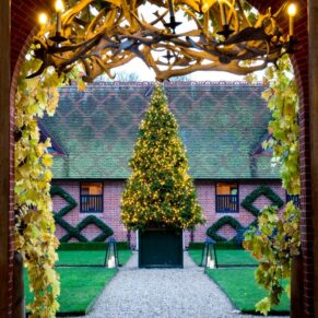 Christmas tree through archway at The Dairy, Waddesdon Manor winter wedding