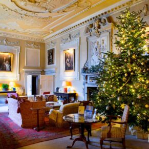 Winter wedding photography Buckinghamshire - Christmas tree in Great Hall at Hartwell House