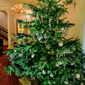 Christmas tree at Taplow House winter wedding