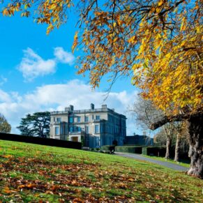 Autumnal image across the lawns at Hedsor House winter wedding