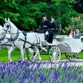 Bride and groom in carriage with white horses and lavender foreground - Wedding at Clearwell Castle