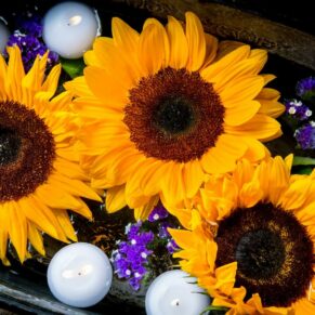 Dairy Waddesdon wedding photos of a floating sunflower display