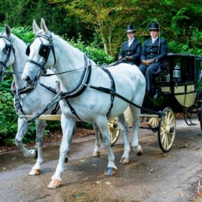 Dairy Waddesdon wedding photos of the horses and carriage