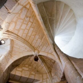 Holiday Homes photography in the UK and France - Chateau Bramatourte grand spiral stone staircase