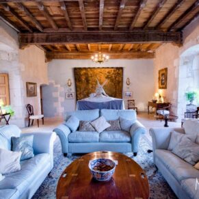 Architectural photography in the UK and France - Chateau Bramatourte interiors of the incredible lounge area