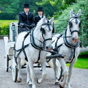 Clearwell Castle - St. Peter's Church wedding photography of the horses and carriages on their way to the drinks reception
