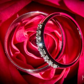 Wedding rings on a deep red rose at Notley Tythe Barn wedding