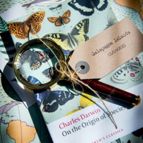 Dairy Waddesdon wedding photographs of the finer details on the day
