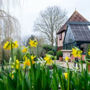 Dairy Waddesdon Spring wedding view through the daffodils