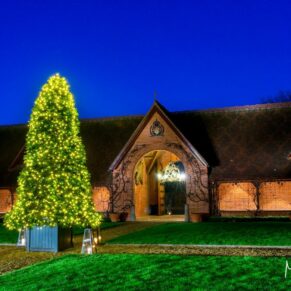 Dairy Waddesdon Christmas wedding tree in the courtyard