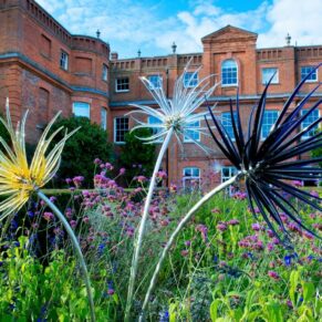 Grove Hotel Watford wedding photography amongst the flower borders