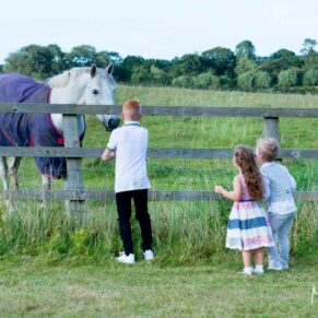 Notley Tythe Barn wedding kids visit the horse in the field