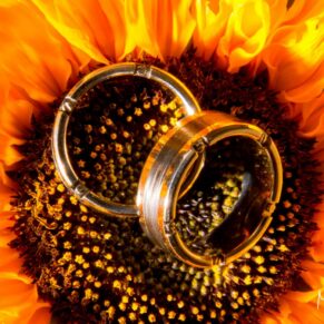 Same sex Buckinghamshire wedding photography - rings on sunflower shot