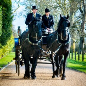 Arriving by horses and carriage at Hampden House Christmas wedding