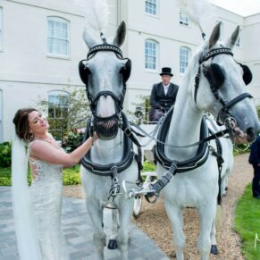 The bride strokes her fabulous white horses at the front of the venue after her carriage ride to this Hertfordshire venue