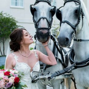 The brides enjoys a visit with her fabulous white horses after her carriage ride to her Sopwell House wedding venue