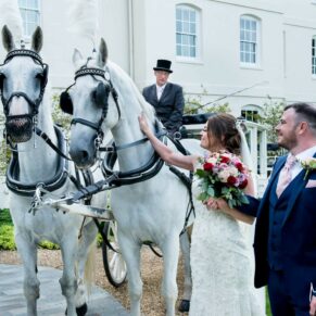 Photography of the bride and groom stroking the horses after their romantic carriage ride to their wedding reception at Sopwell House in St.Albans