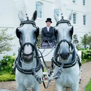Photography capture of the white wedding horses and carriage captured at the front of the historic Sopwell House Hotel in St. Albans