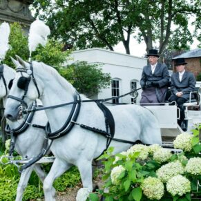 Photography of the horses and carriage riding between the flower borders along the main driveway at this Sopwell House summer wedding