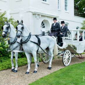 The wedding horses and carriage posing for photography opportunities at the front of Sopwell House Hotel in St. Albans