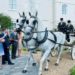 The wedding horses and carriage ride between the guests as the newlyweds arrive at Sopwell House Hotel in St.Albans