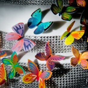The butterflies landing on the cake lit with dramatic lighting