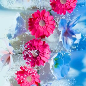It's all in the detail of this magical cake