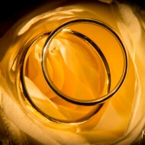 The couple's rings placed carefully on a delicate yellow rose from the bride's bouquet at her Danesfield House wedding
