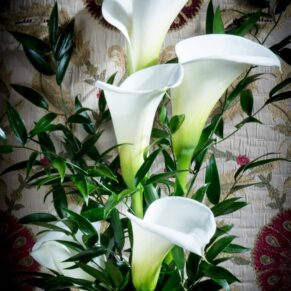 Gorgeous white lily flowers against the fabric of a period chair in the Great Hall