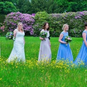 The bride and bridesmaids seen here strolling through the wonderful buttercup meadow