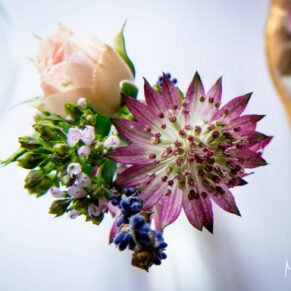 It's the small details that matter when it comes to capturing close-ups of flowers