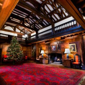 A wide view of the Great Hall and its huge festive tree at Christmas