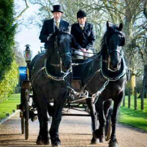 The horses and carriage arriving on the driveway with the newlyweds at this winter marriage
