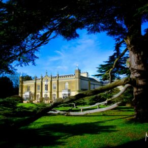 The venue exterior captured under a perfect blue sky through the huge 400 year old cedar tree