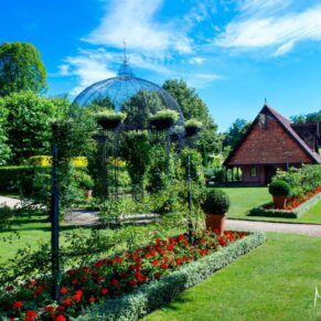 Some of the manicured gardens of The Dairy captured on a summer's day near to the Buttery