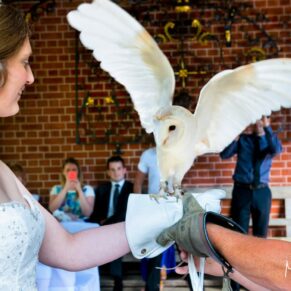 The owl delivering the rings to the bride in the pavilion for her stunning lakeside wedding ceremony at The Dairy