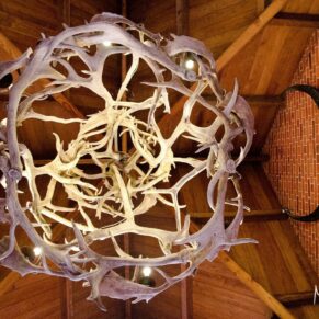 The huge dramatic antler chandelier inside the entrance of The Dairy