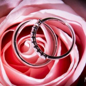 Five Arrows Waddesdon wedding photography of the rings resting on a pink rose