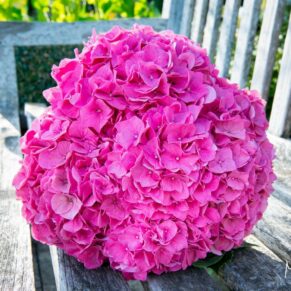The bride's hot pink bouquet rest on a wooden chair at her Grove Hotel wedding