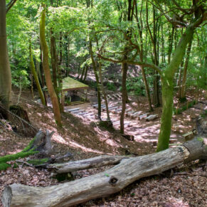 The woodland dell pre ceremony at this enchanting woodland marriage venue