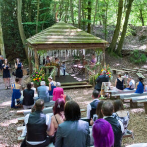 Ceremony in progress in the dell for this wonderful summer marriage